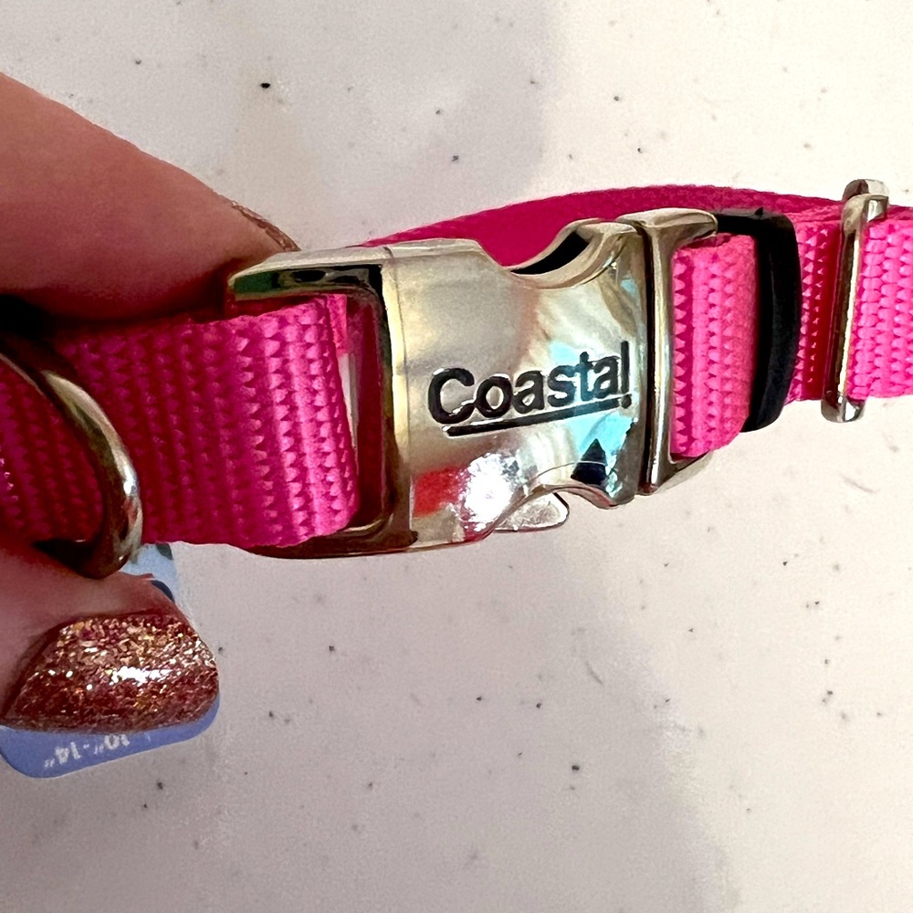 Hot pink new dog collar small